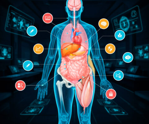 Diagnóstico y Tratamiento de la Diabetes tipo 2 en Adultos