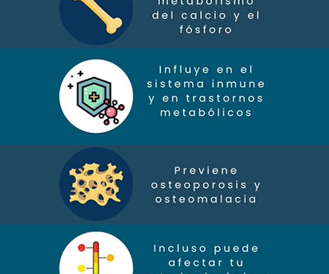 La vitamina D es una hormona clave en tu salud endocrina